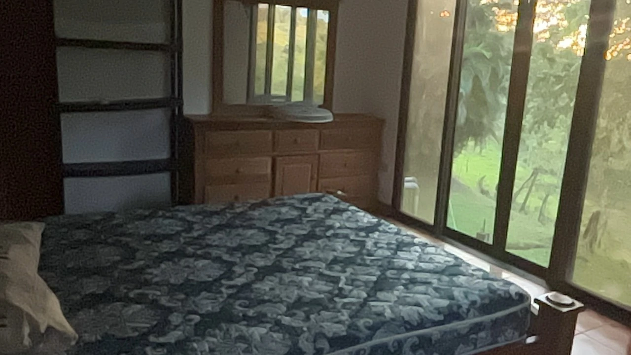 Finca Guapinol de Parrita: Near the Coast, Mountain and Countryside Agricultural Land For Sale in Parrita - Gallery image 15