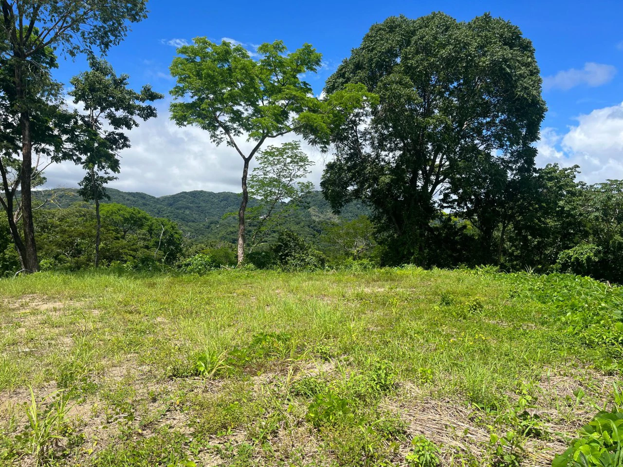 Lot Micky: Perfect Construction Opportunity Near Samara Beach - Gallery image 3