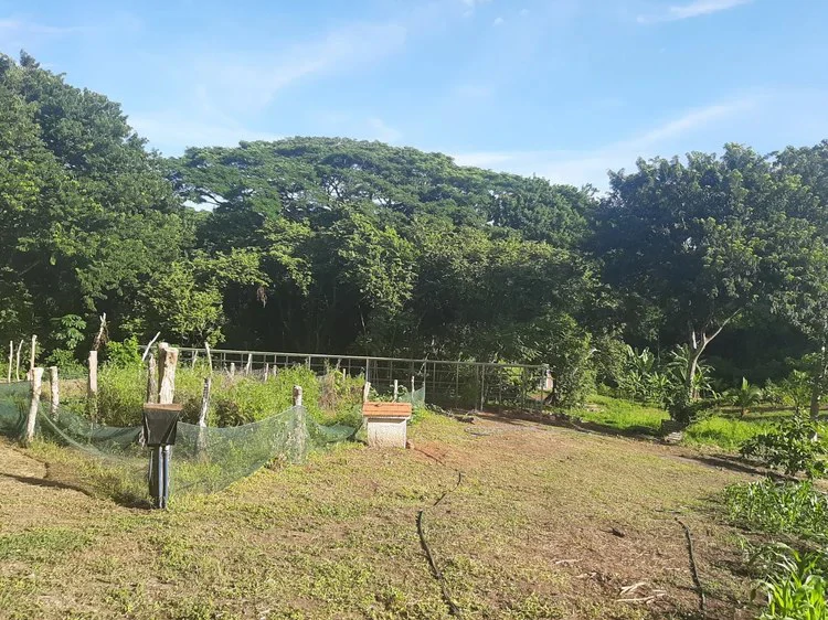 Organic Finca Eco Dreams: $799,000 USDOrganic Finca Eco Dreams – Sustainable Eco Farm for Sale Near Playa Naranjo, Costa Rica Luxury Self-Sustainable Farm, Solar-Powered Estate & Investment Property o - Gallery image 34