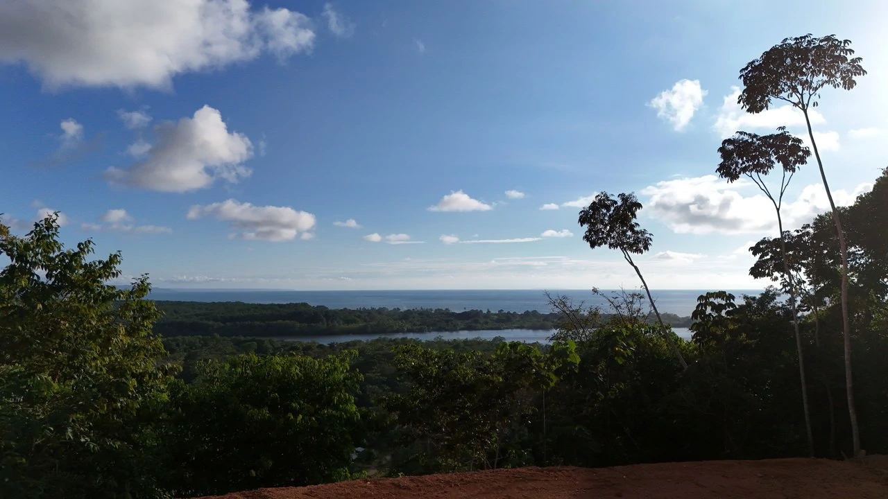 Stunning Ocean and Terraba River view property in Ojochal - Gallery image 9