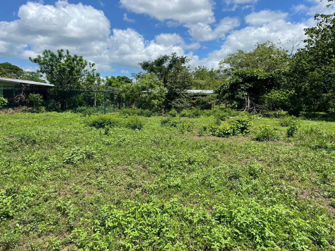 Building lots for sale, 6 available properties 10 minutes away from Liberia - Gallery image 6