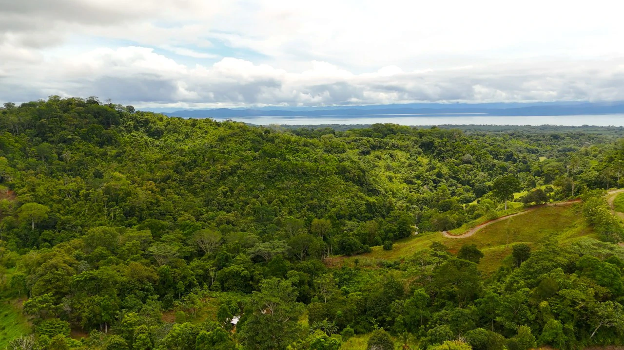 GULF VIEW PROPERTY IN PUERTO JIMENEZ, COSTA RICA - Gallery image 19