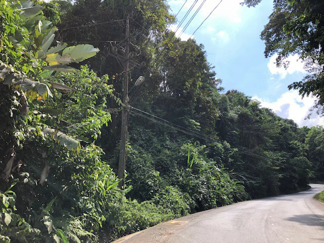 6.5 ACRES – Space To Grow, Build & Thrive, Close To The Beach & Commercial Potential Road Frontage!!!!!: Mountain and Countryside Development Parcel For Sale in Platanillo de Dominical - Gallery image 14