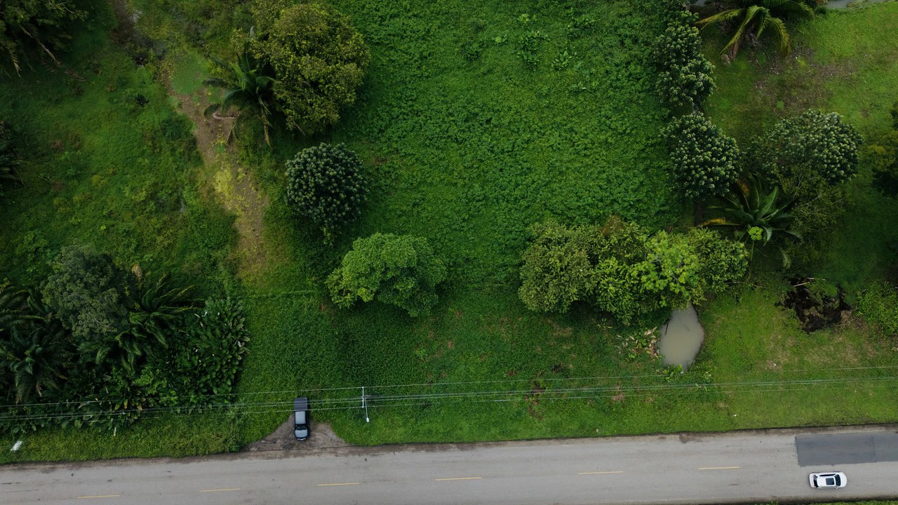 Strategic 5000sqm Commercial Property in Uvita: Perfect for any Business Vision - Gallery image 3