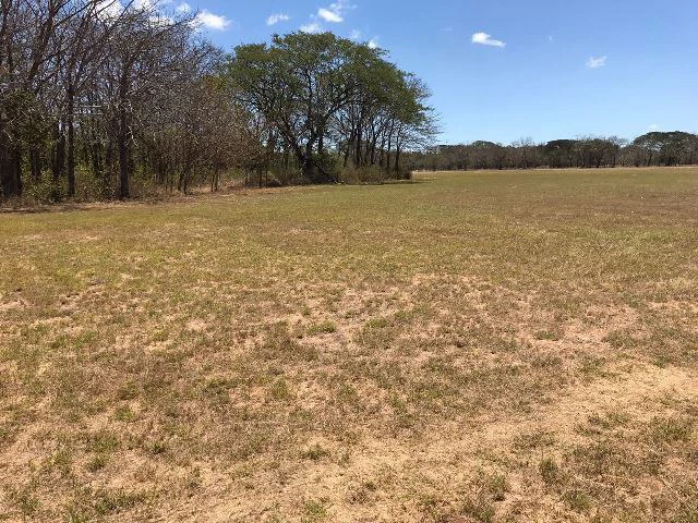Huge terrain for sale in Guardia close to the International Airport of Liberia - Gallery image 37