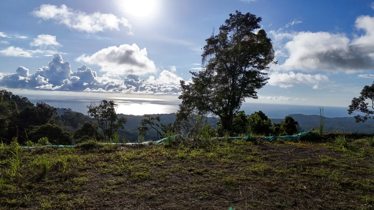 Year-Round Sunset Views | 3 Connected Build-Ready Lots - Gallery image 18