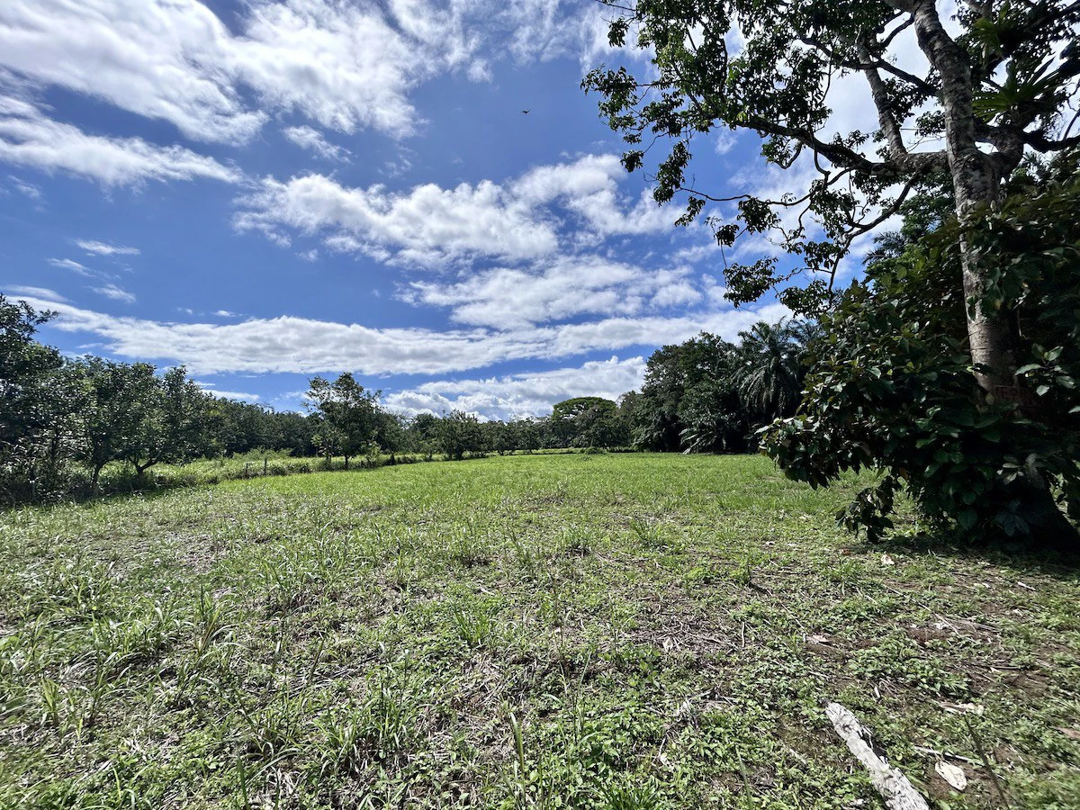 Titled Property Near The Golfo Dulce Coast - Gallery image 9