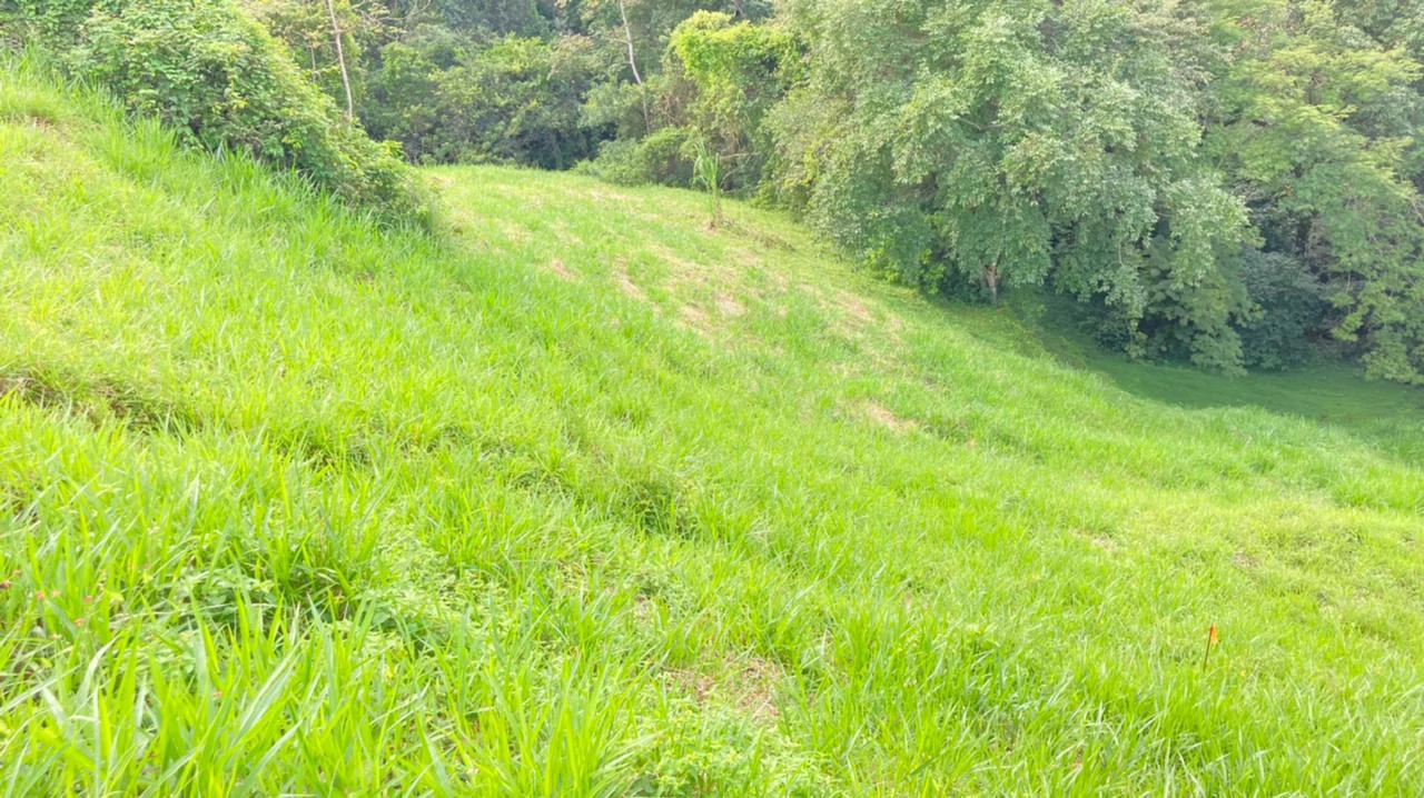 Lot for Sale in Gated Community Cerro Colon Ciudad Colon Costa Rica - Gallery image 20