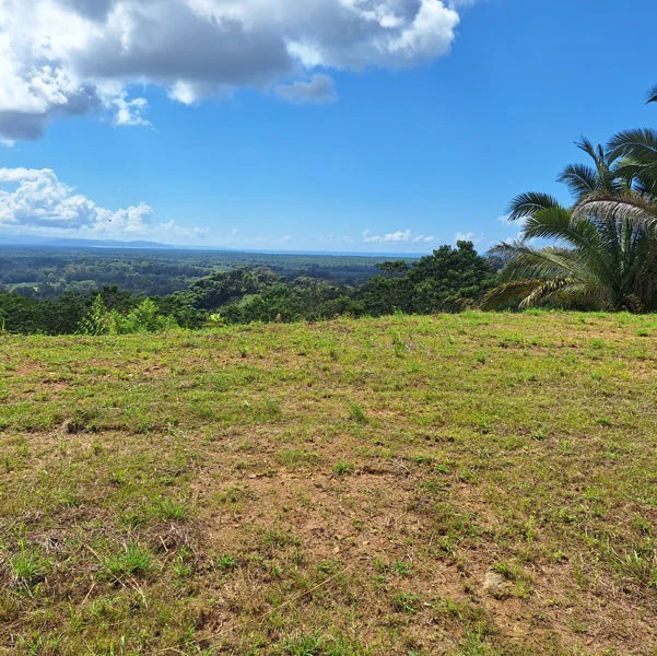 Gorgeous Ocean View Acreage in San Buenas - Gallery image 12