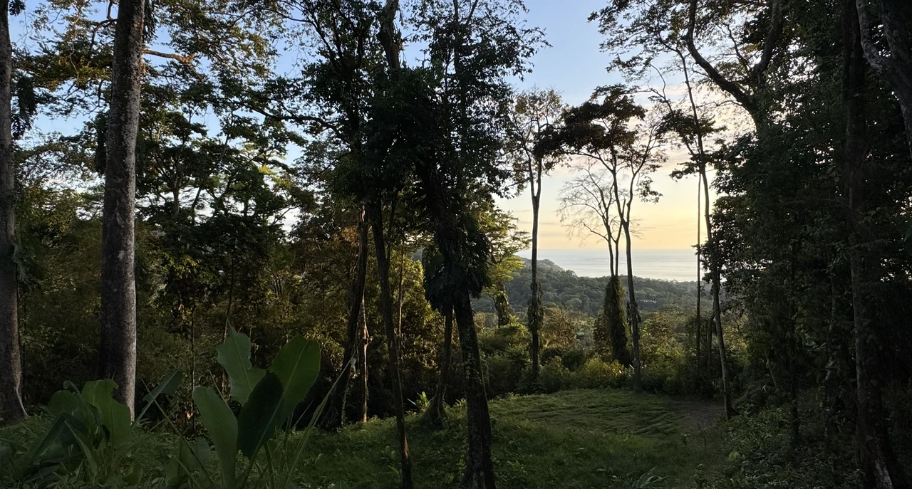 Two Ocean View Lots in Uvita – Easy Access and Large Building Sites - Gallery image 4