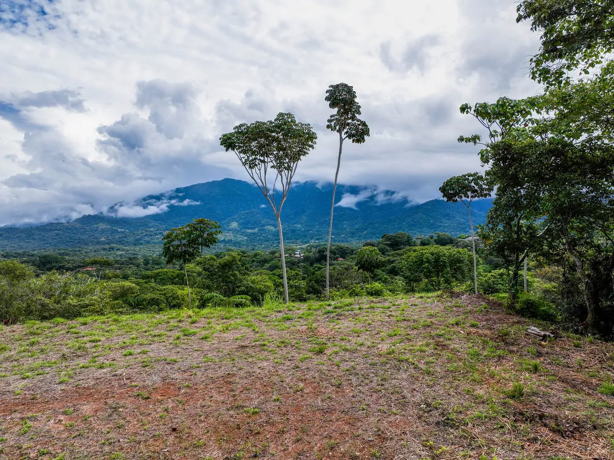 Ocean, Mountain View Ready to Build Lot on Desired Calle Perezoso