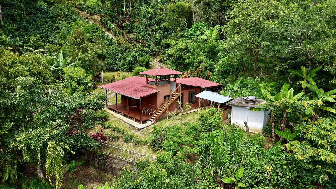 FINCA CON CASA Y MIRADOR: Mountain Agricultural Land For Sale in La Amistad - Gallery image 12
