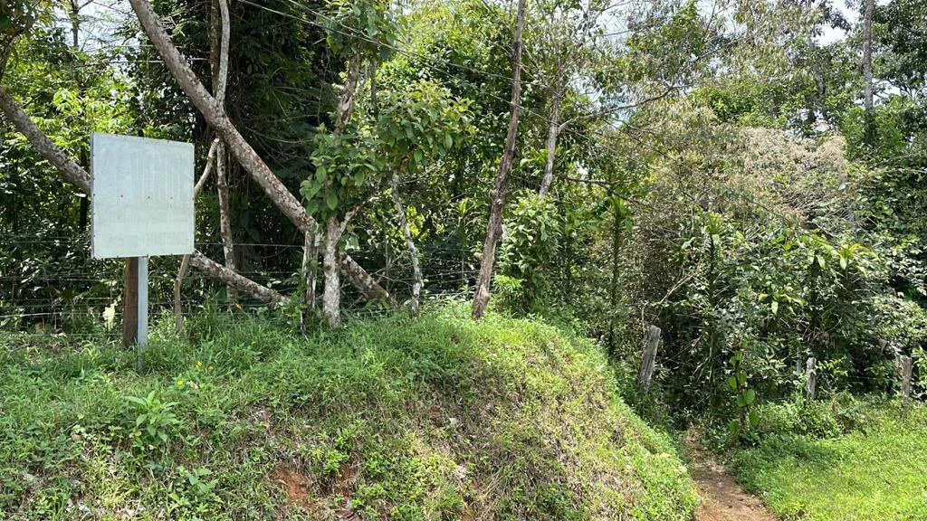 Building potential property for sale, beautiful land in the pure nature close to Bijagua - Gallery image 11