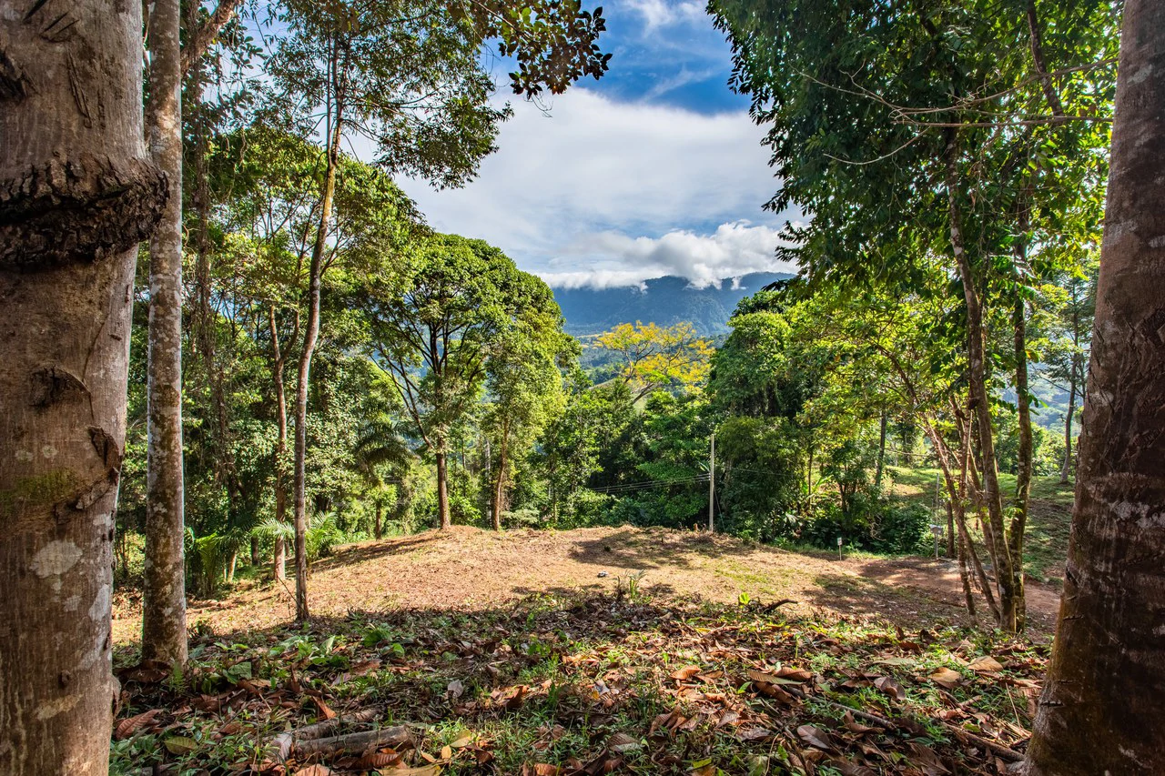 2.9 Acre Paradise with Diamante Valley Views Dominical - Gallery image 17