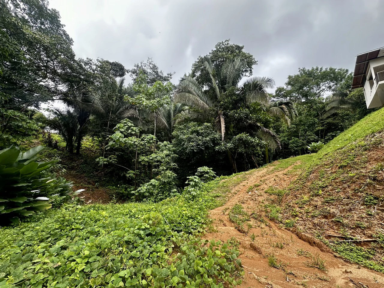 Investment Opportunity in Playa Hermosa – Fixer-Upper with Great Potential! - Gallery image 24