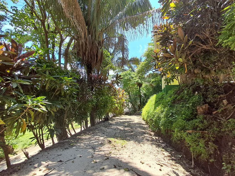 Casa Alaska: Charming Costa Rica Home with Pool, Rancho & Nature Views, Just 10 Minutes’ Walk to the Beach - Gallery image 23
