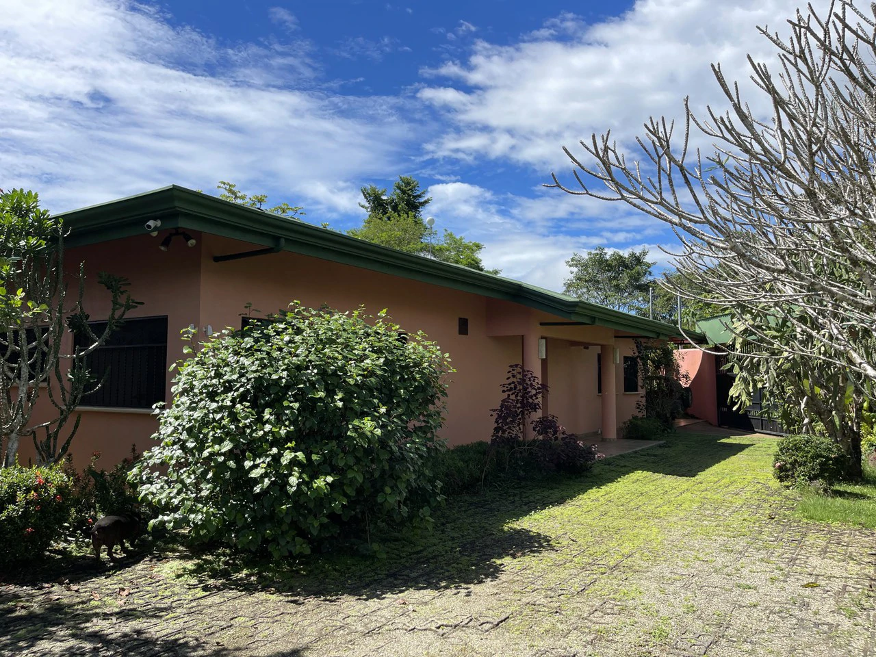5.2 ACRES – 2 Bedroom Home With 60 Ft Infinity Lap Pool, 1 Bedroom Guest House, Fabulous Ocean View, Mature Fruit Trees!!! - Gallery image 12