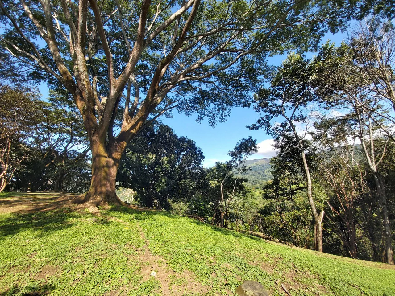 Mountain and Countryside Home Construction Site For Sale in Desmonte - Gallery image 13