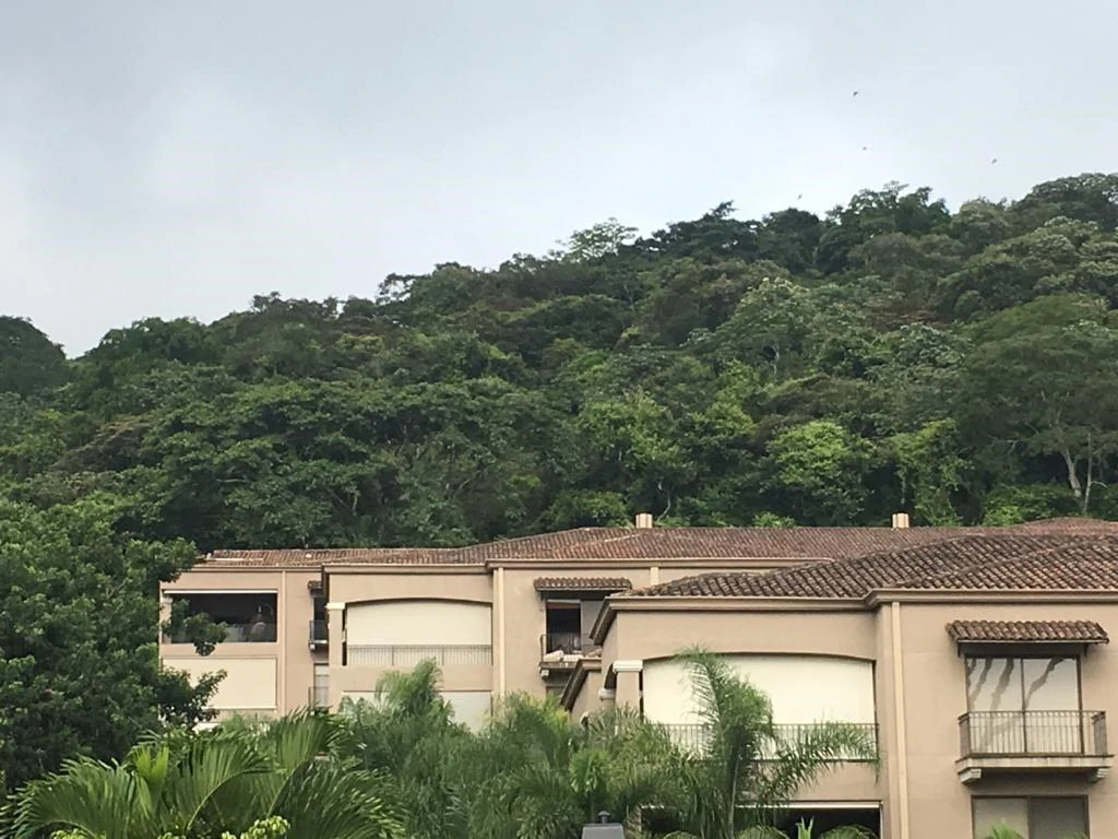 Apartment For Sale in Pozos - Gallery image 21