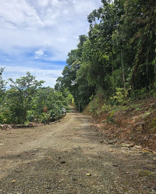 Mountain and Countryside Agricultural Land For Sale in San Isidro del General