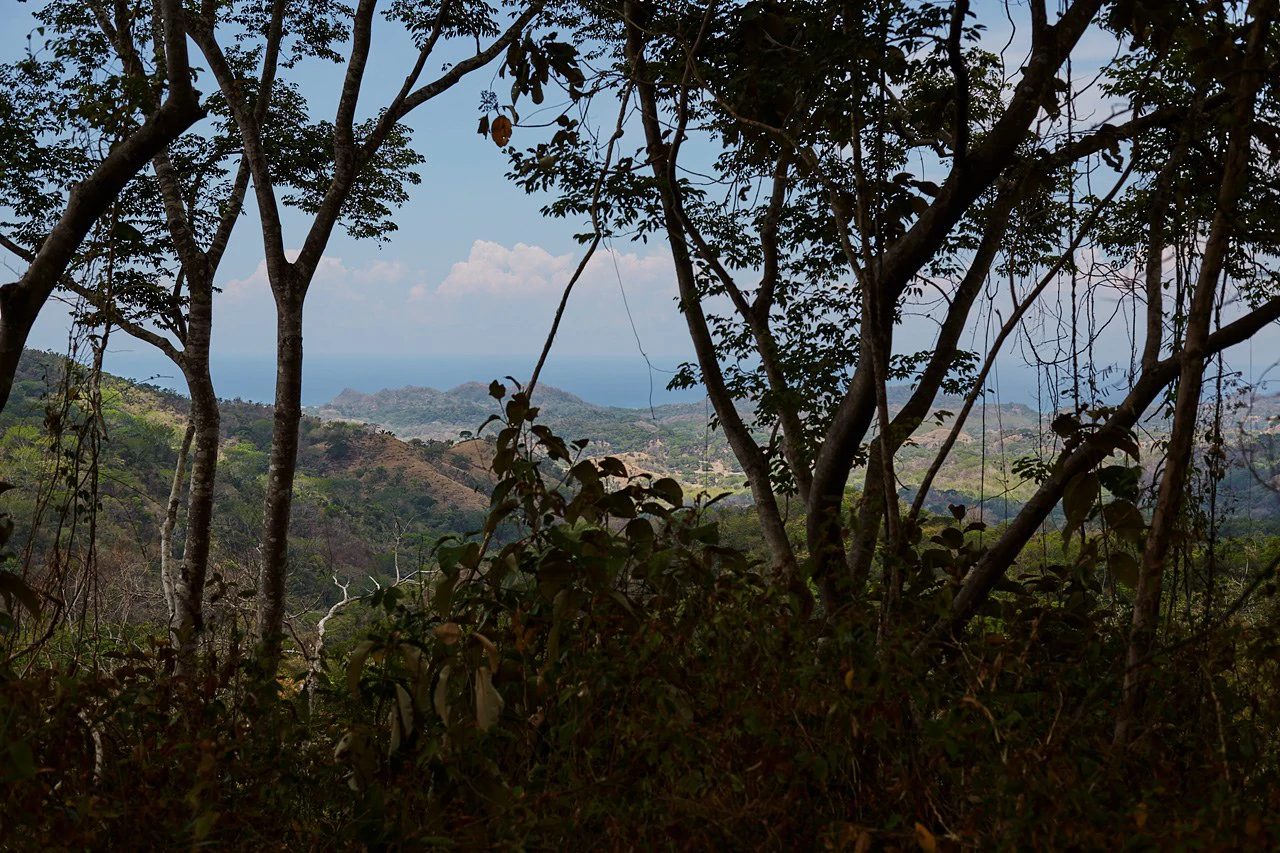 Finca Gomez: 214 Hectares | Ocean Views, Rivers & Development Potential – Guanacaste - Gallery image 7