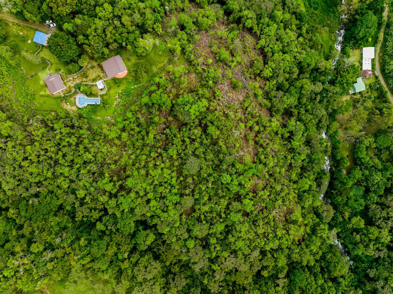 Expansive 27 Acre Farm with Residence in San Isidro del General - Gallery image 58