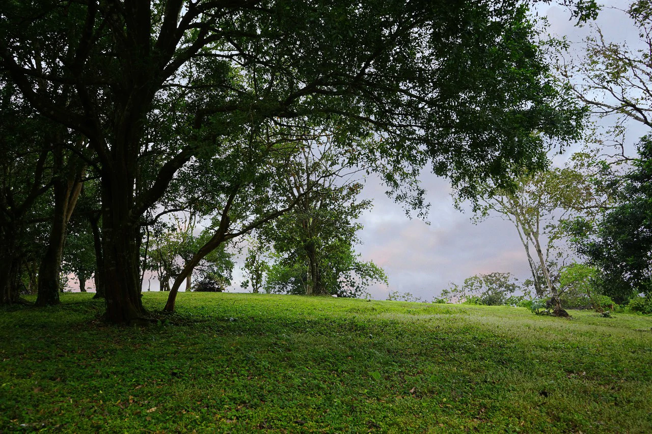 LAGO AZUL: Lake View lot of just under 1 acre - Gallery image 12
