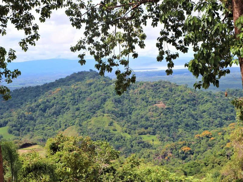 Captivating 3.15-Acre Property: Huge Pricedrop! Firesale Oceanview Lot in Tres Rios - Gallery image 57