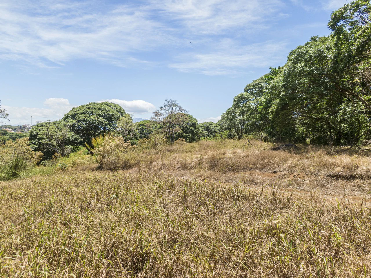 Land for development 10 hectares - Gallery image 2