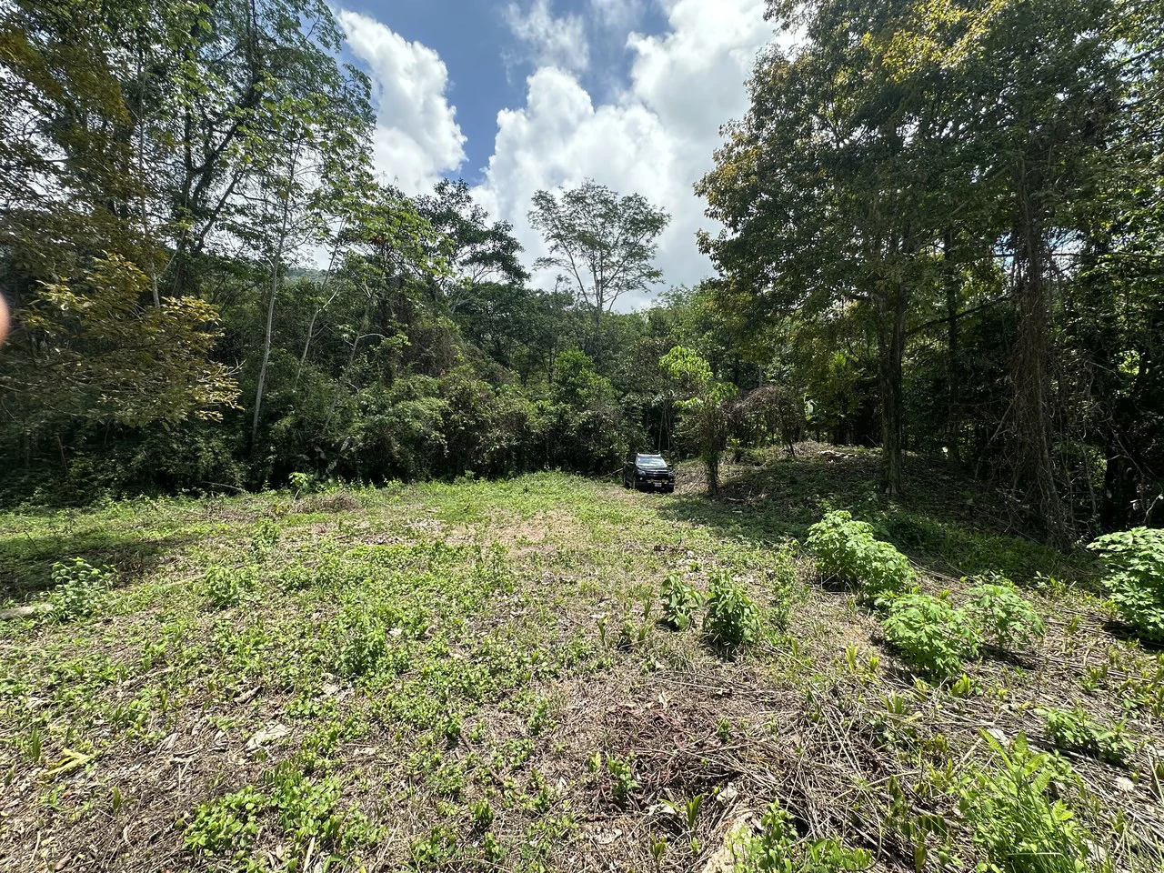 Ocean View Estate Lot with Private Waterfall – Uvita - Gallery image 23