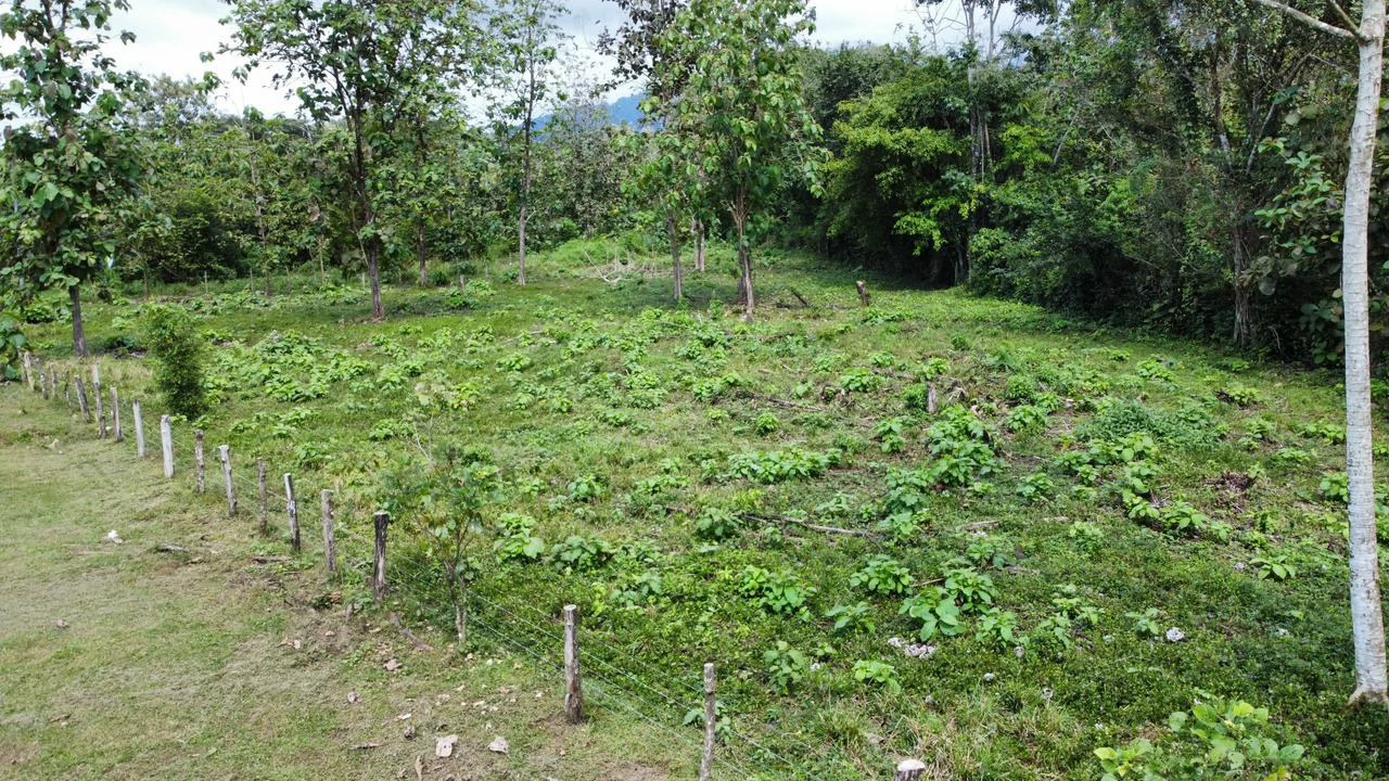 Off the grid property | Located in a privileged area, surrounded by natural beauty: Mountain Home Construction Site For Sale in Damas - Gallery image 18