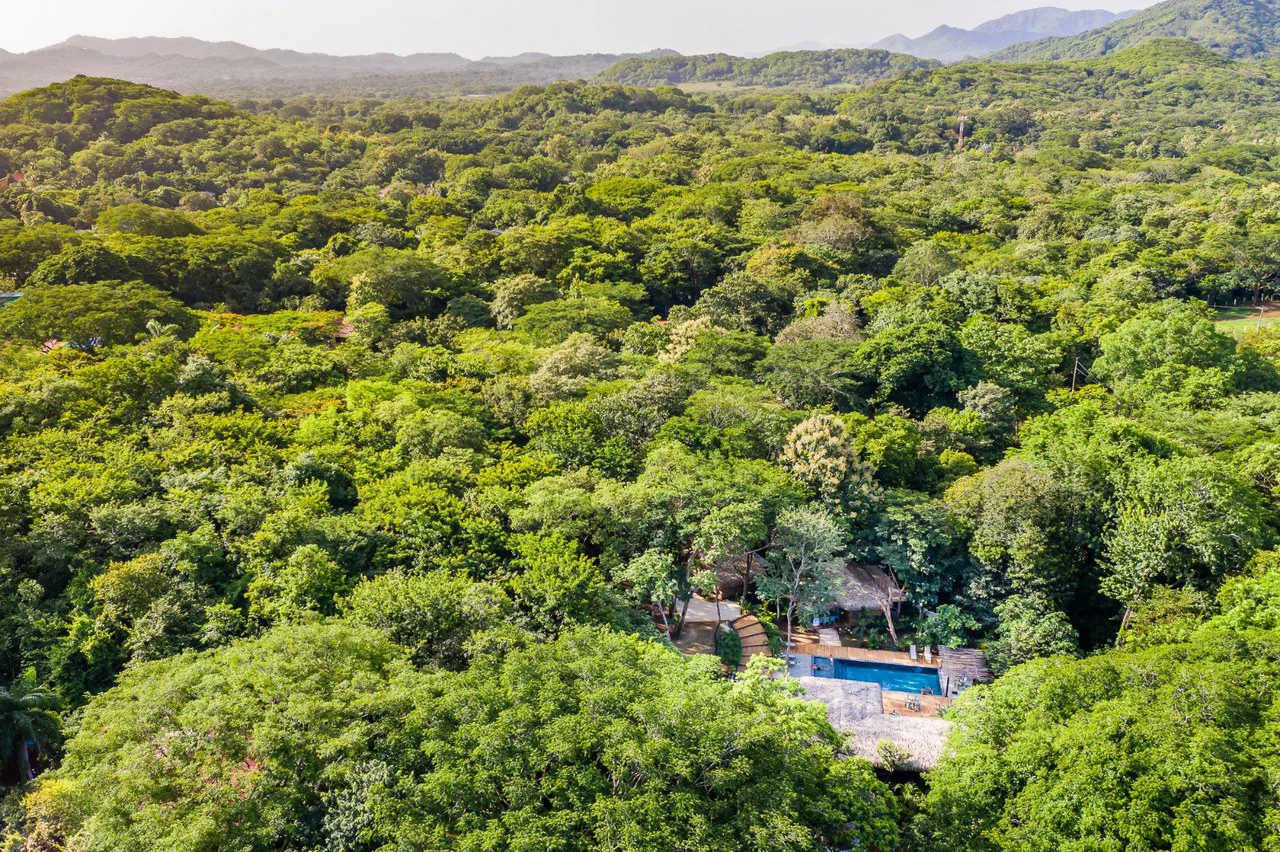 Successful Wellness and Spa with restaurant: One Of A Kind, Successful Wellness, Spa And Restaurant Oasis Close To Tamarindo - Gallery image 51