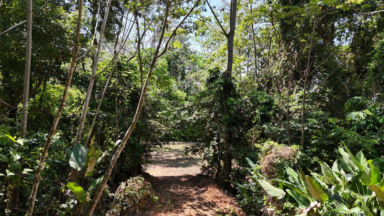 Exceptional Development Opportunity 71 acre Riverfront & Ocean View in Hatillo - Gallery image 24