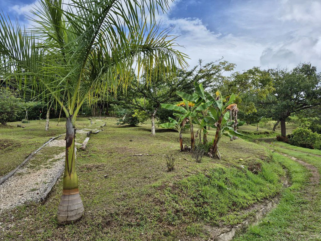 Casa Del Toro: Charm and Serenity in the Hills of Hojancha – 5-Bedroom House with Pool and Bungalow - Gallery image 26