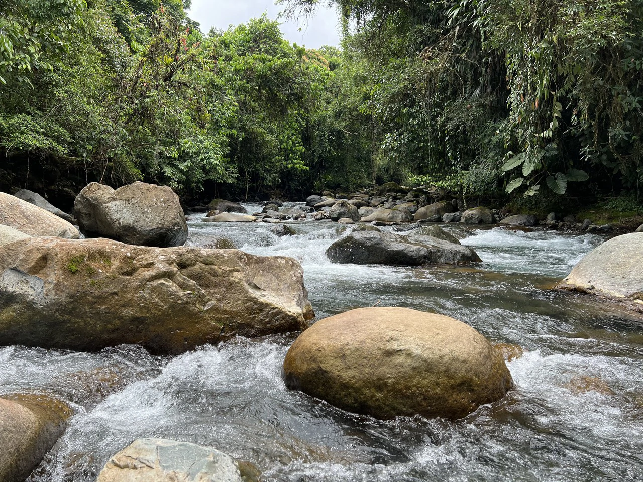 Mountain Home Construction Site For Sale in Santa Elena - photo 3