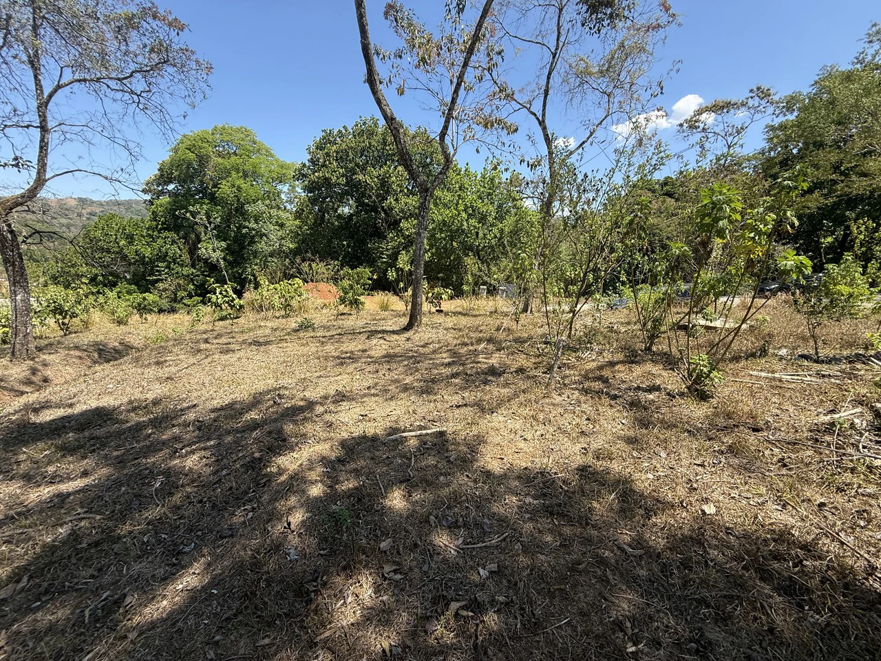 Ecovilla San Mateo: Ecovilla San Mateo – Lot for sale -Nature, Community & Conscious Living - Gallery image 10