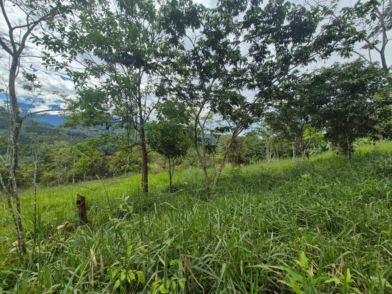 Se vende 6acres en San Antonio de Rivas, Pérez Zeledón: Countryside Home Construction Site For Sale in San Isidro del General - Gallery image 16