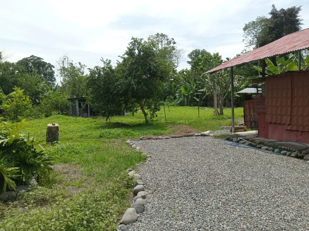 Farm home in Blanco: Ideal retirement farm at the foot of the rainforest - Gallery image 6
