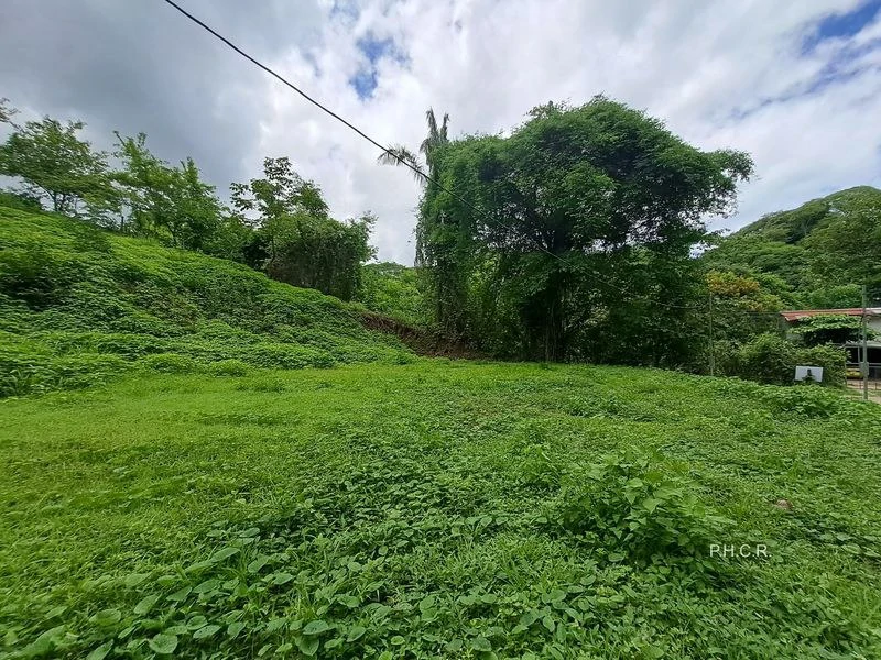 LOT SAN FERNANDO: San Fernando lot - 1024 m² building plot - affordable - flat - 10 minutes drive from Samara - Gallery image 3