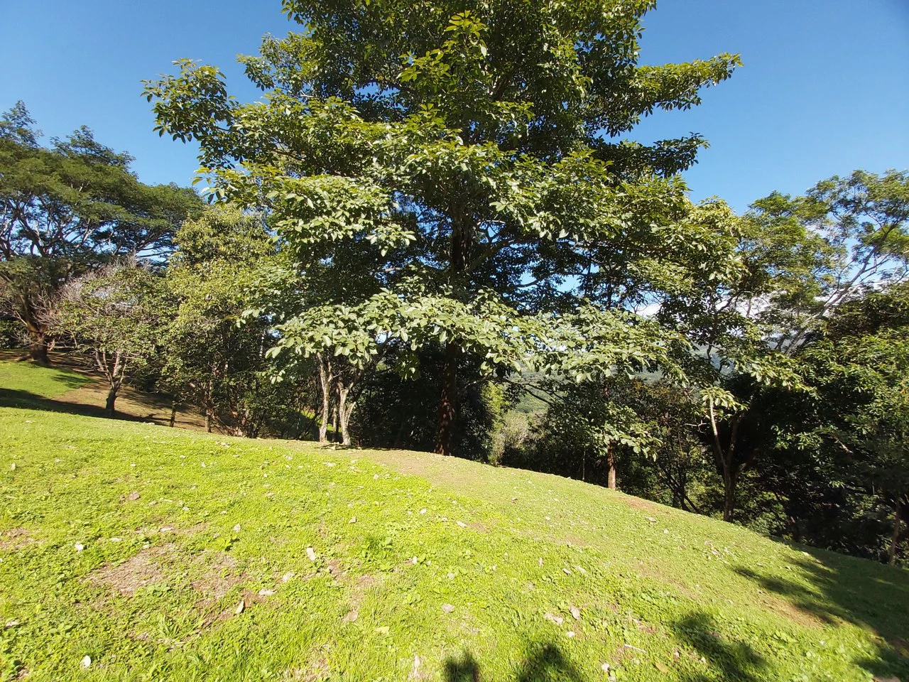 Mountain and Countryside Home Construction Site For Sale in Desmonte - Gallery image 6