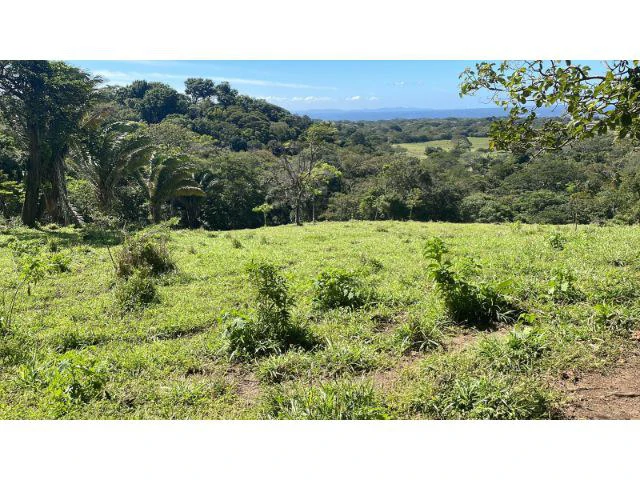 Nature Paradise Farm for sale in the mountains of Quebrada Grande, Building potential property 30 minutes away from Liberia - Gallery image 34