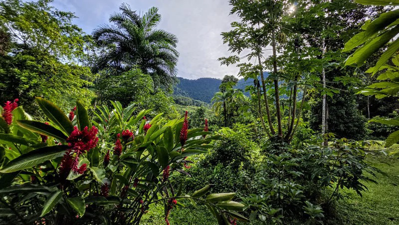 Waterfall Estate, Dos Bocas, Dominical Featuring Twin Waterfalls, Springs, Creeks & Rivers - Gallery image 6