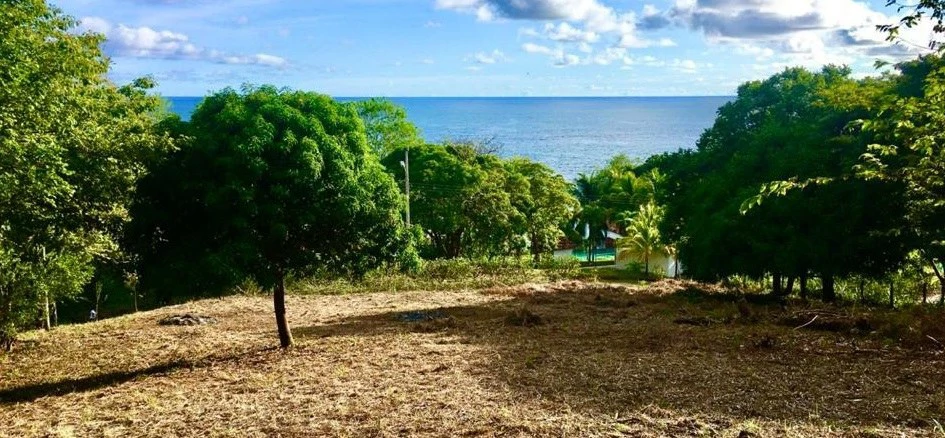 Oceanview property with a possible building  project of 10 apartments  for sale in Playa Carrillo - Gallery image 7