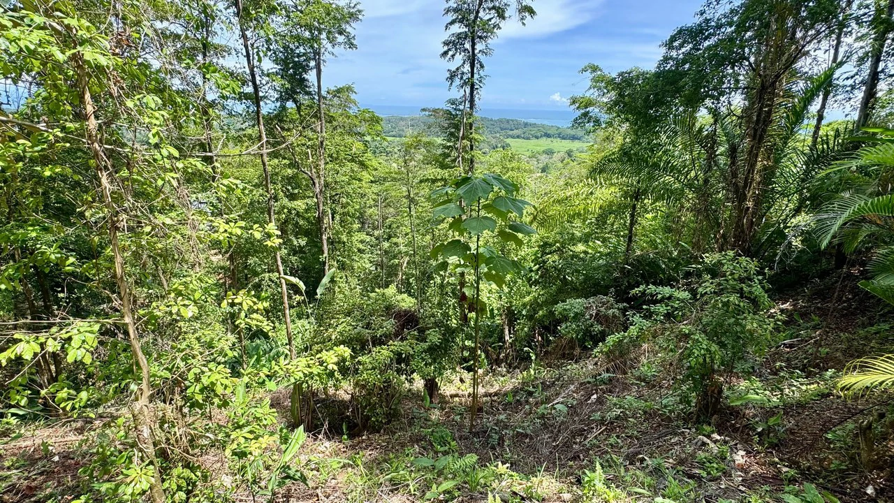 Exclusive and Unique Ocean Views lot in the Hills of Uvita! - Gallery image 6