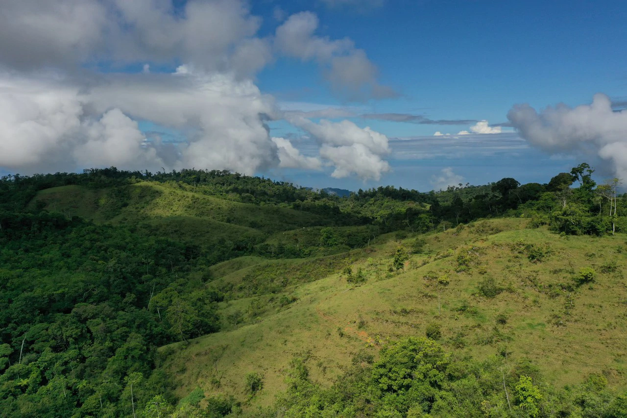 47 Acre Off Grid Ranch with Ocean & Mountain Views San Lorenzo Perez Zeledón - Gallery image 20