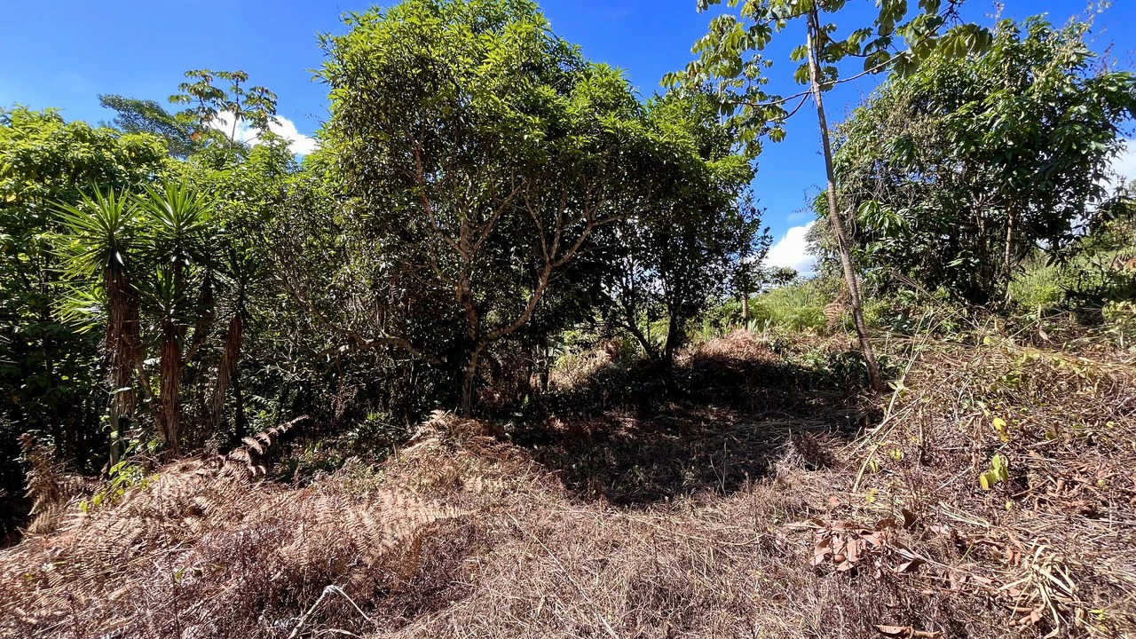 Home Construction Site For Sale in Pavones - Gallery image 27