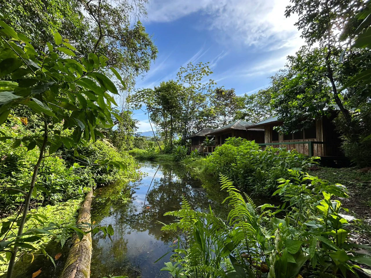 60 Acre Fully Sustainable and Impactful Conservation Initiative Near Golfito: Mountain Multi Unit Building For Sale in Golfito - Gallery image 30