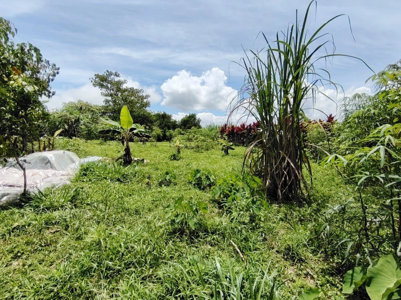 Lote en San Juan Bosco, Perez Zeledon, Costa Rica: Countryside Home Construction Site For Sale in Daniel Flores - Gallery image 5