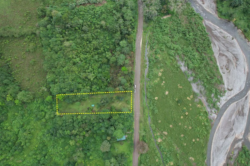 Land For Sale in Dos Brazos, Puerto Jimenez, Ideal For Home Surrounded by Nature
