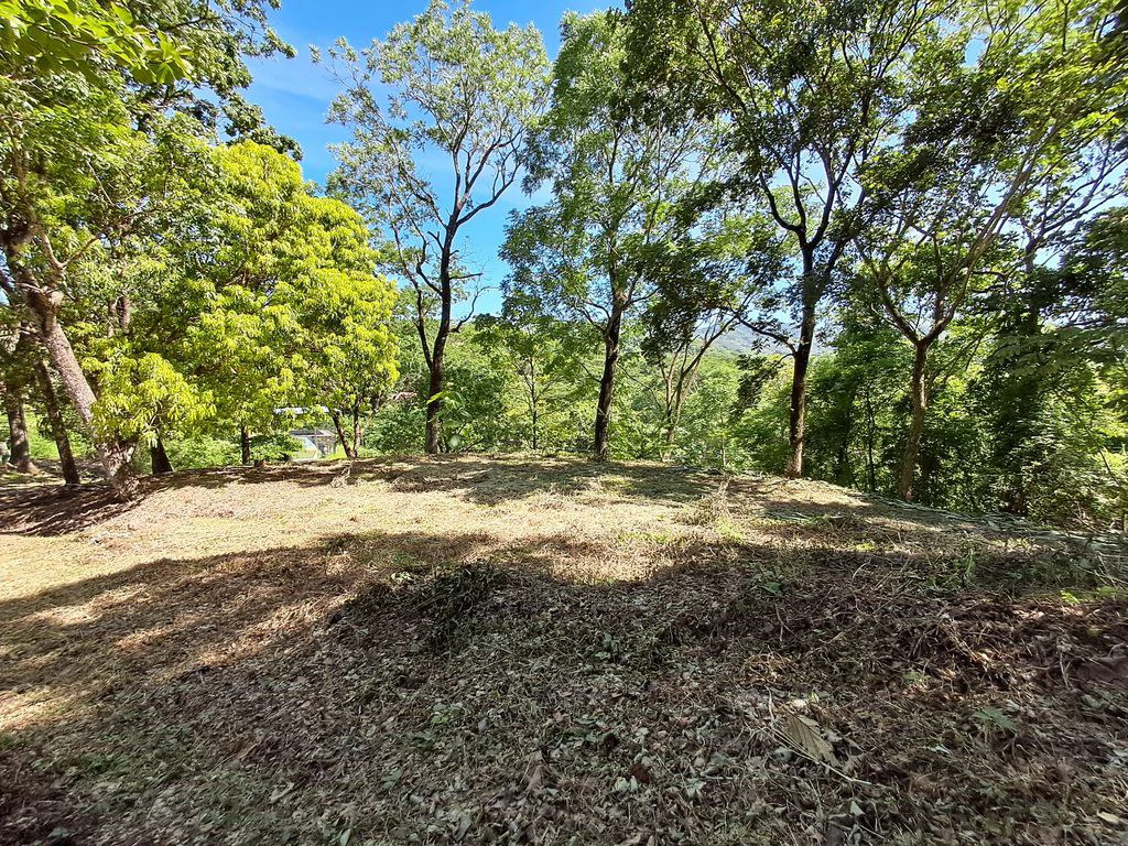 Lote Budry: Exclusive Elevated Lot with Stunning Mountain & Jungle Views Near Samara Beach - Gallery image 3